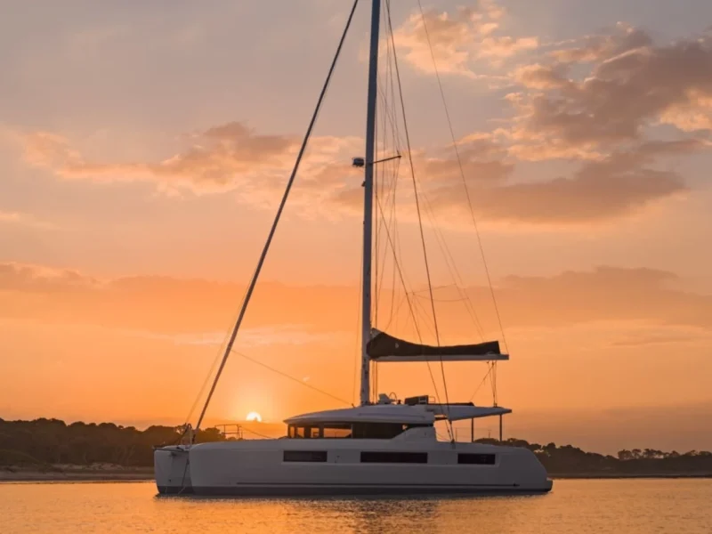 nauti cat 1
