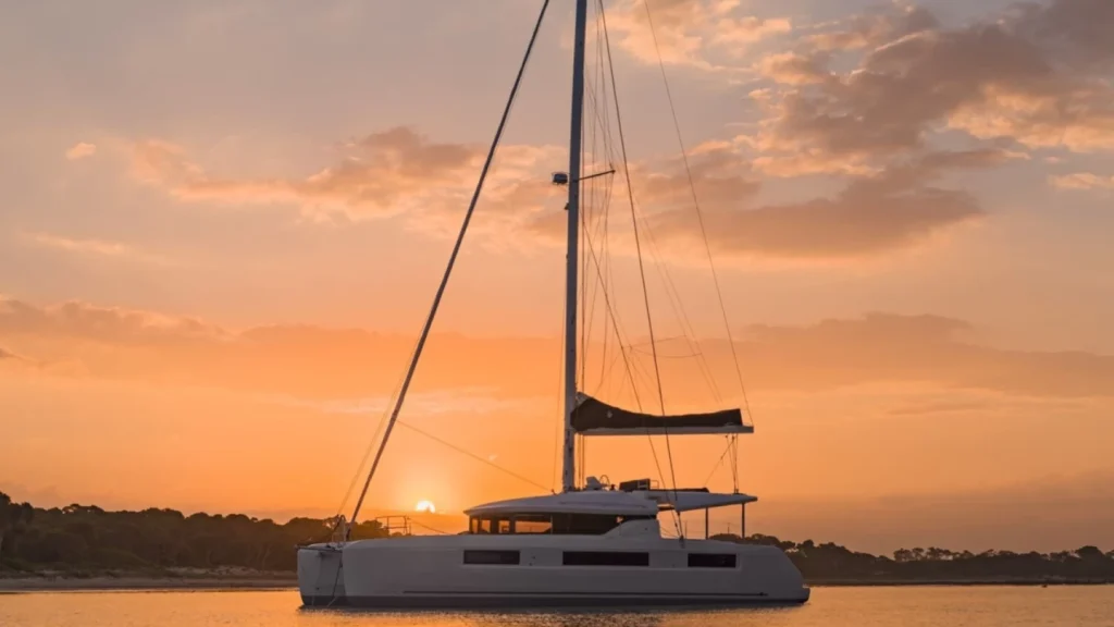 nauti cat 1