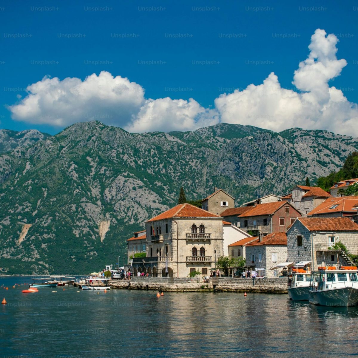 premium_photo-1697730104948-43575659bf0a